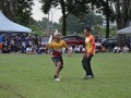 Tn dsc 2478